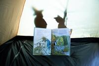 100001796_nordqvist-jak-fiskus-s-pettsonem-vyrazili-stanovat-06.jpeg