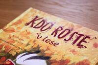 100001616_michalicyna-kdo-roste-v-lese-01.jpeg