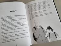 100001687_beran-ztraceny-v-povetri-vnitrek5.jpeg