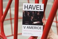 100001406_johnston-havel-v-americe-1.jpeg