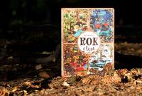 100001224_rok-v-lese-1.jpeg