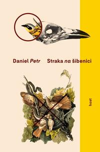 e-kniha