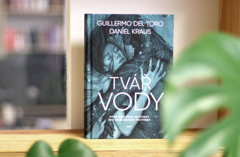Co se ve Tváři vody nedočtete