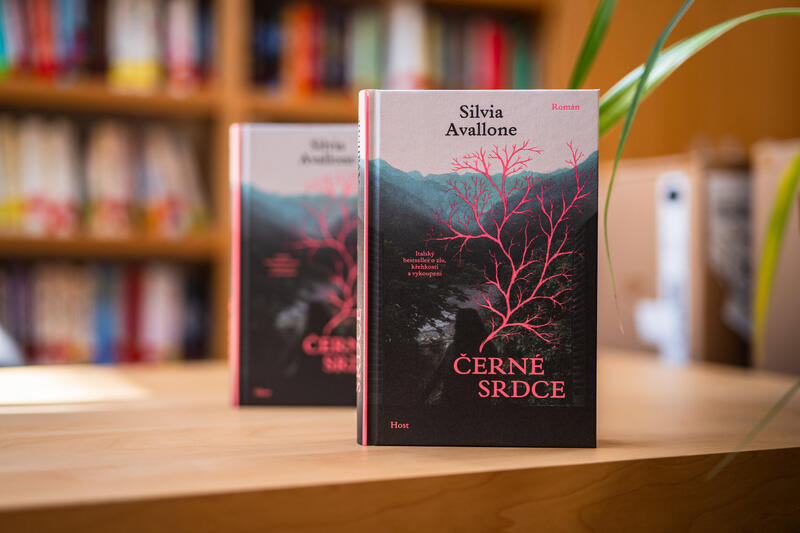Román Silvie Avallone je citlivou sondou do duší dvou outsiderů