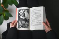 100002003_andersonova-zamek-z-pavuciny-kouzel-vnitrek2.jpeg
