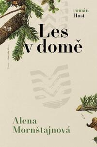 100002084_les-v-dome2.jpeg