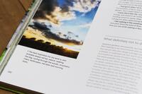 100001375_leffler-live-in-your-garden-03.jpeg