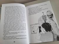 100001687_beran-ztraceny-v-povetri-vnitrek3.jpeg