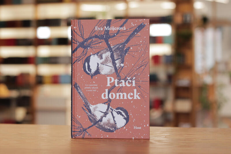 Na kafe s překladatelkou: Veronika ter Harmsel Havlíková