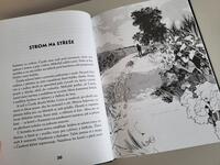 100001687_beran-ztraceny-v-povetri-vnitrek4.jpeg